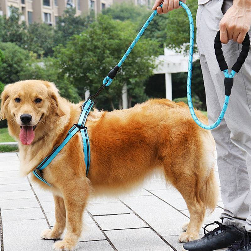 TrailGrip Reflective Rope Dog Leash (2 m)