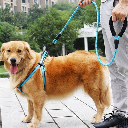 TrailGrip Reflective Rope Dog Leash (2 m)